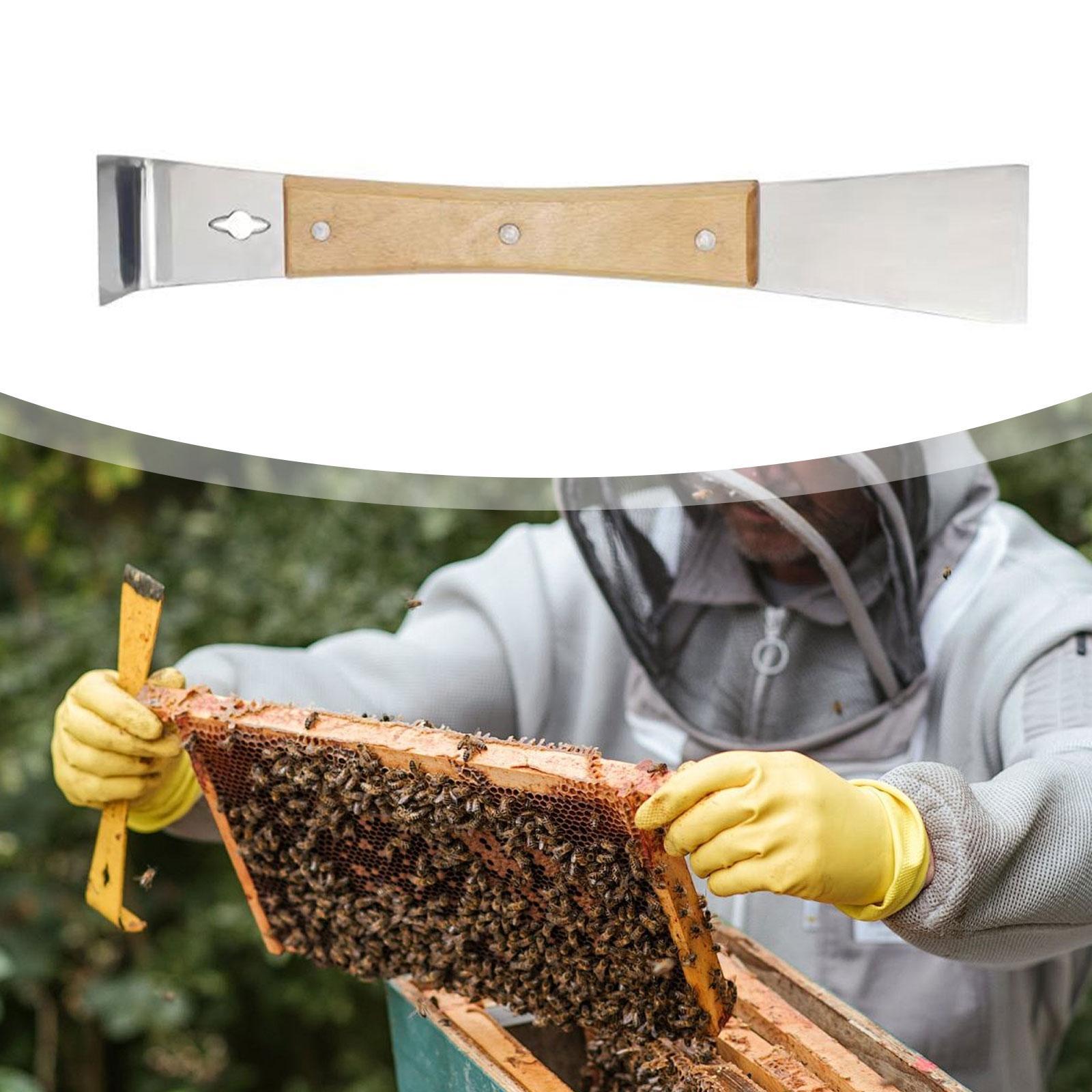Langlebiger Edelstahl-Bienenst – Workshop Tools Knife Bewertung und Preis